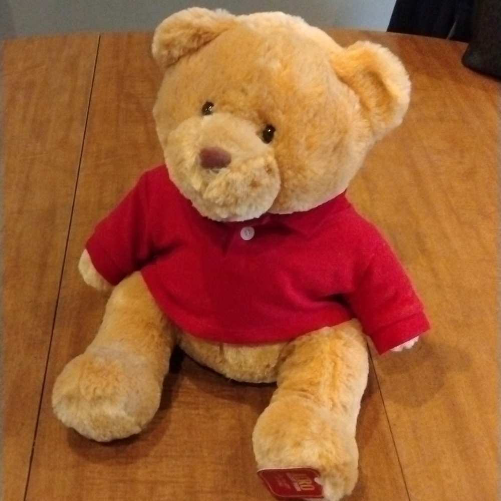 AEROPOSTALE teddy bear. New with tags - Picture 1 of 4